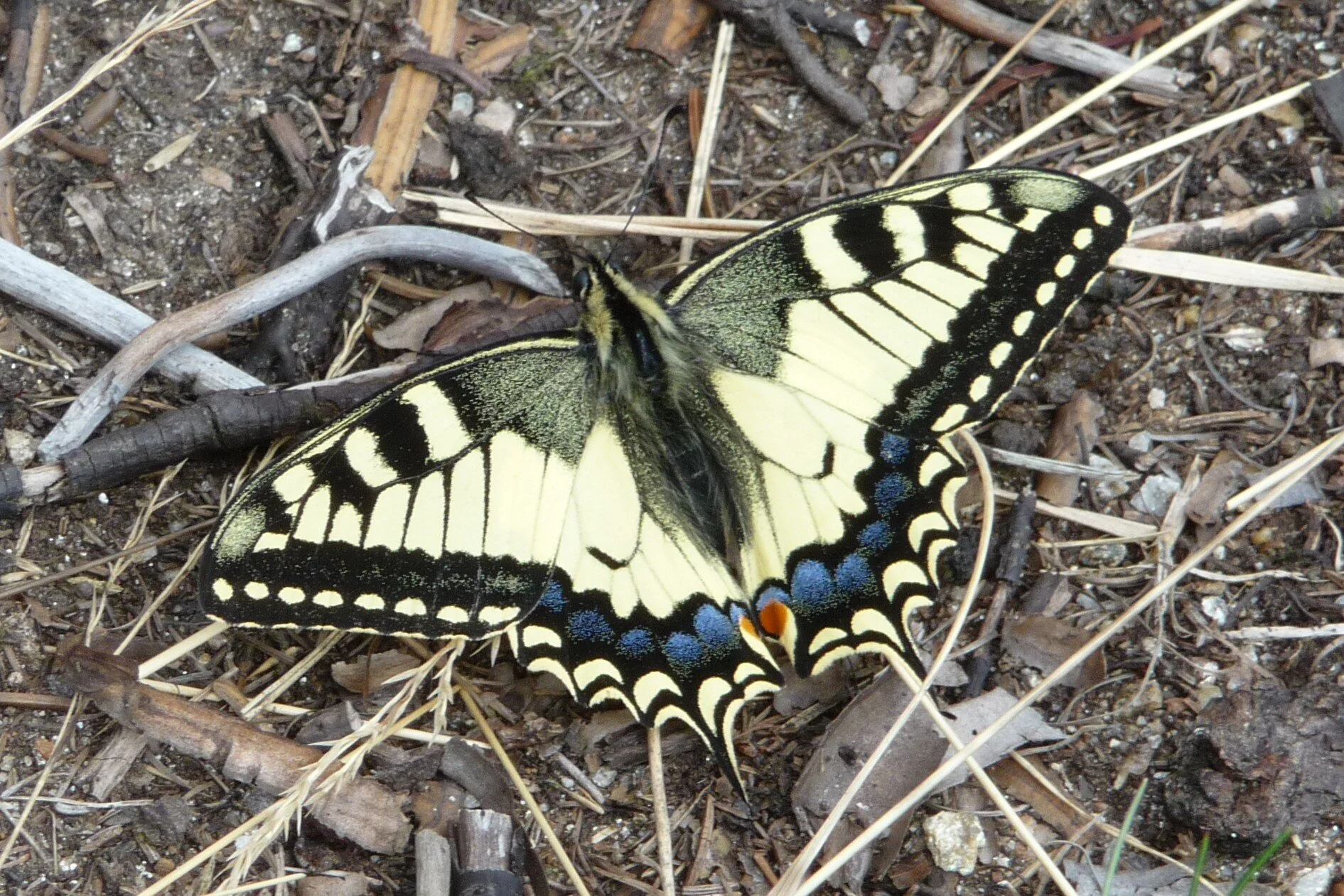 Mitarbeiter | © Mitarbeiter