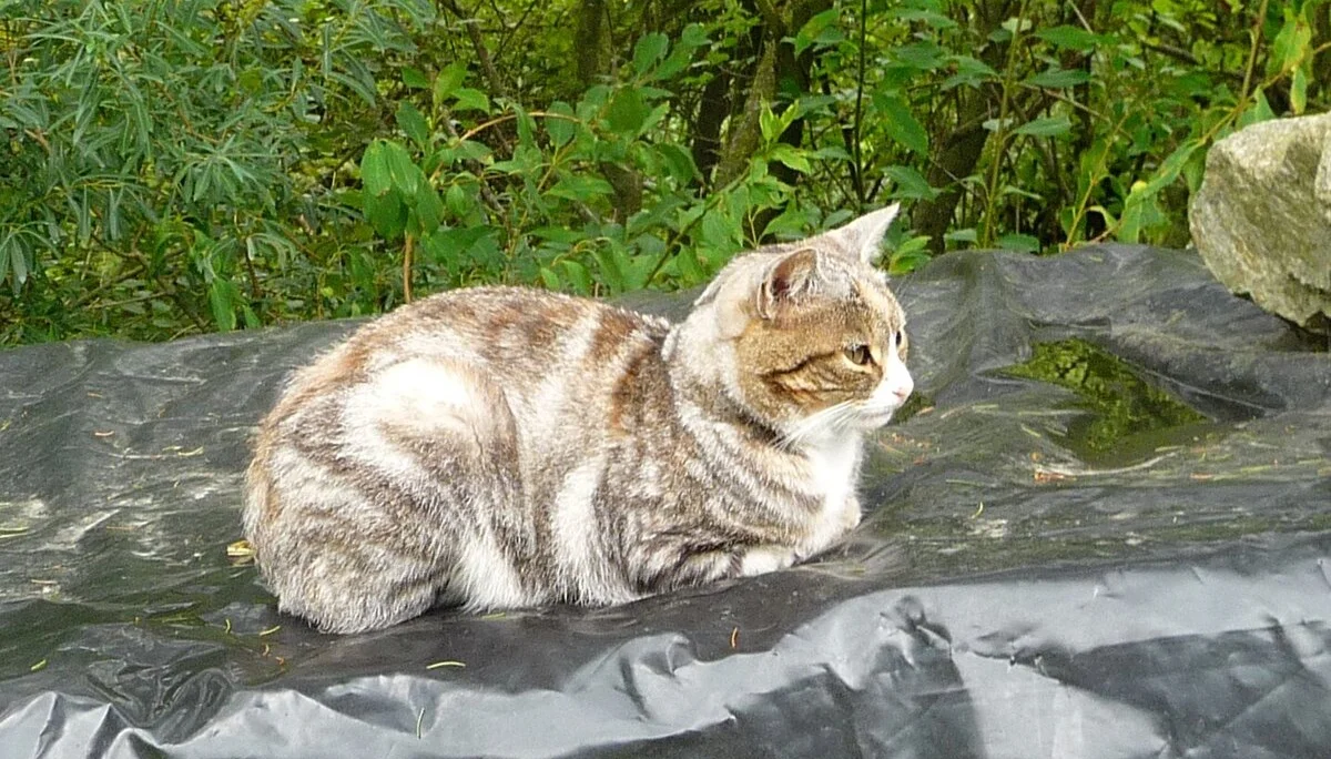 Mitarbeiter | © Mitarbeiter