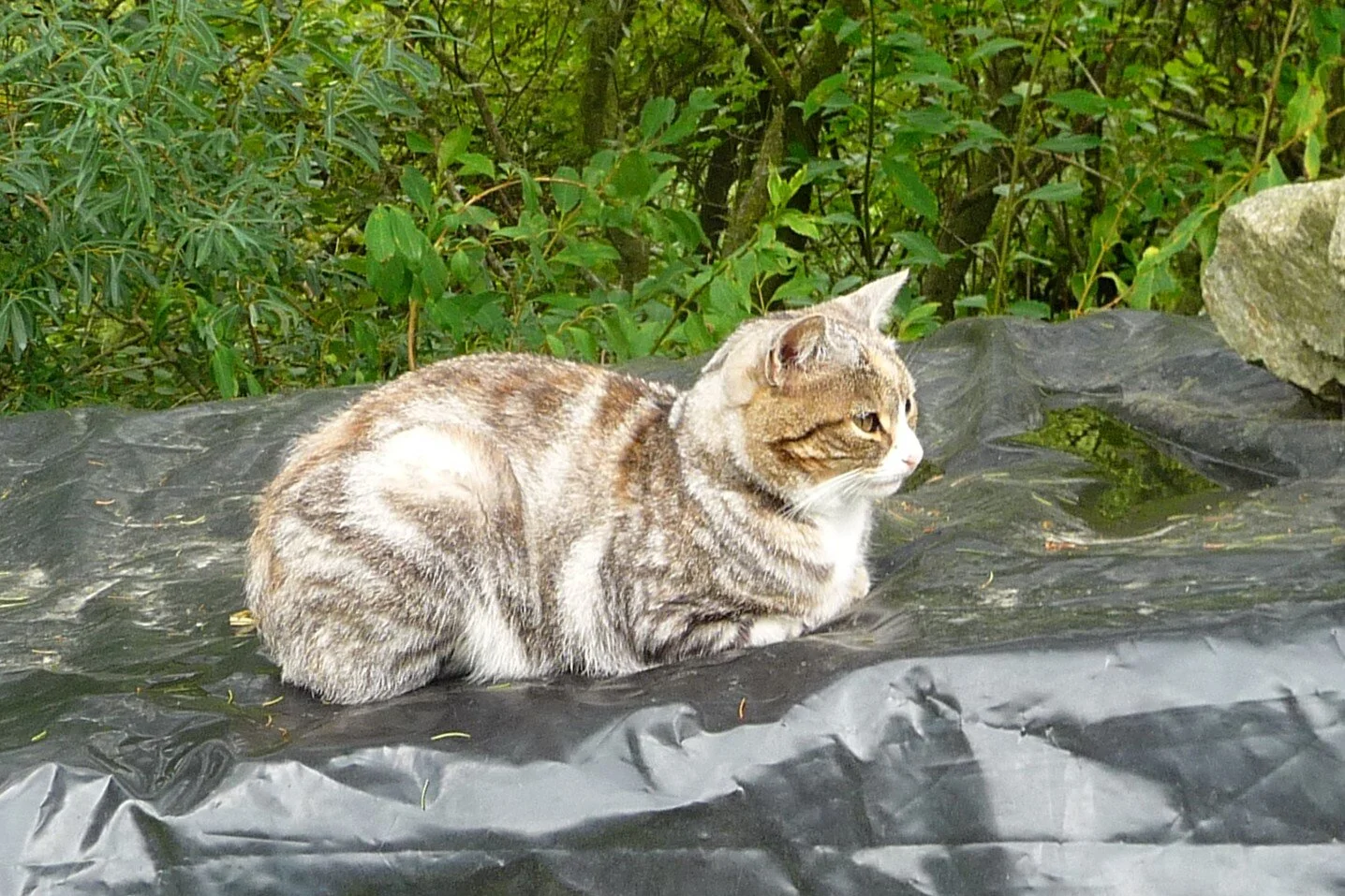 Mitarbeiter | © Mitarbeiter