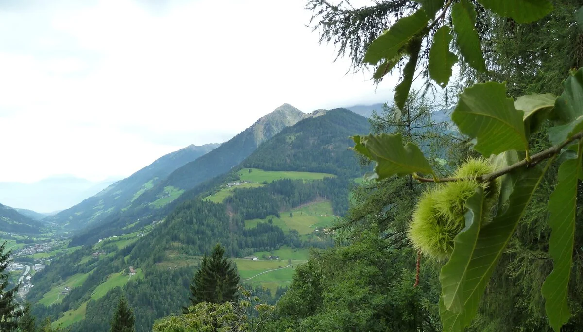 Mitarbeiter | © Mitarbeiter