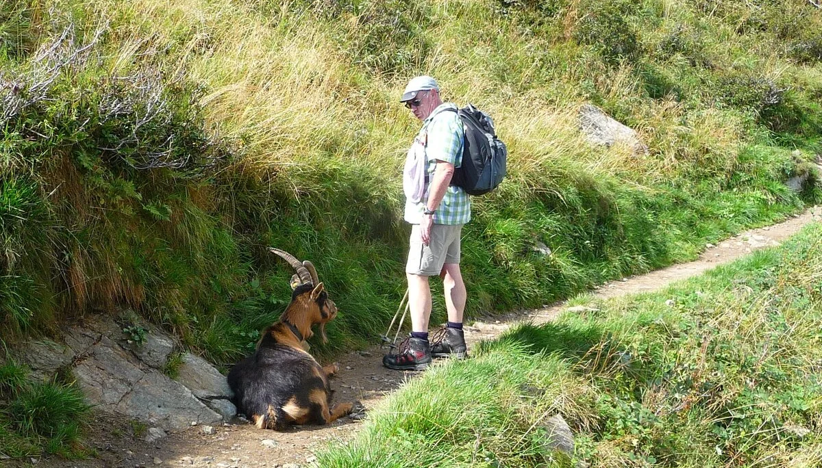 Mitarbeiter | © Mitarbeiter