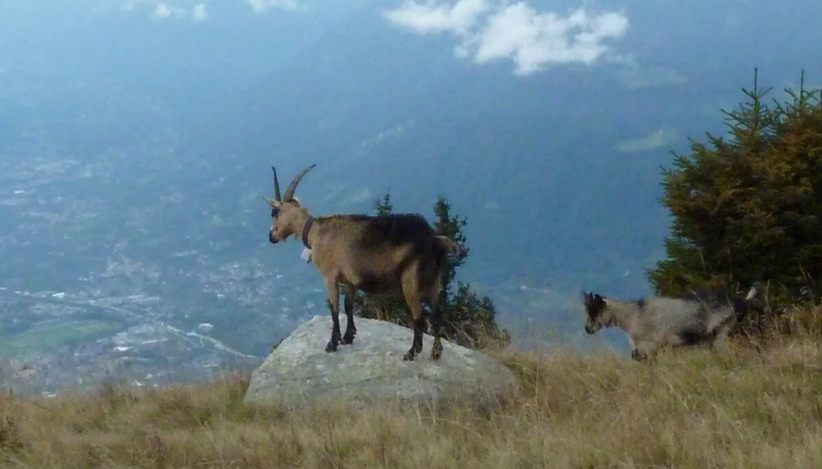 Mitarbeiter | © Mitarbeiter