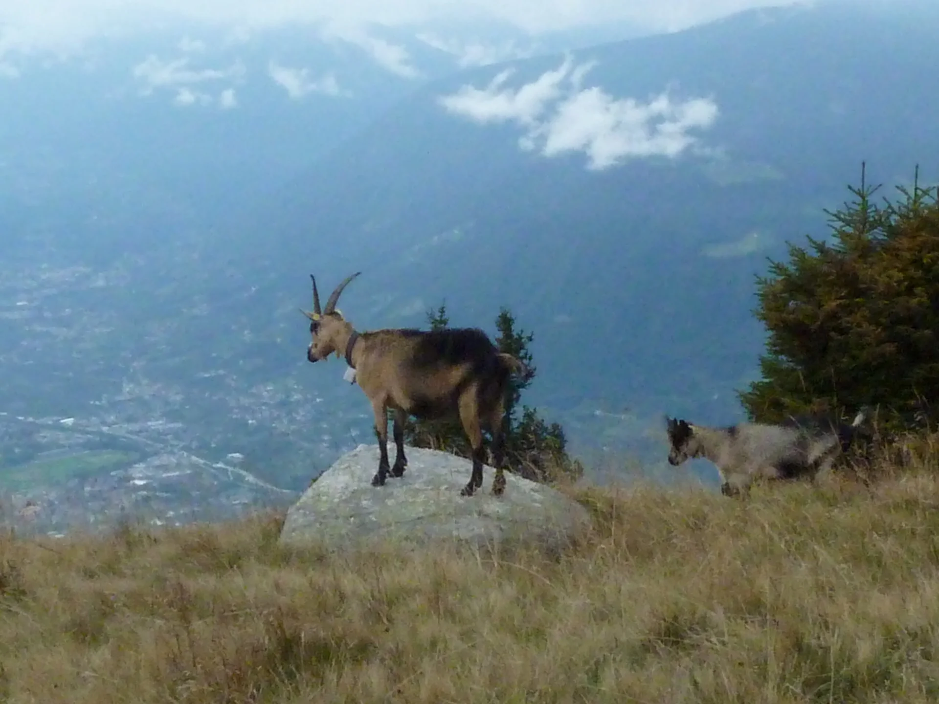 Mitarbeiter | © Mitarbeiter