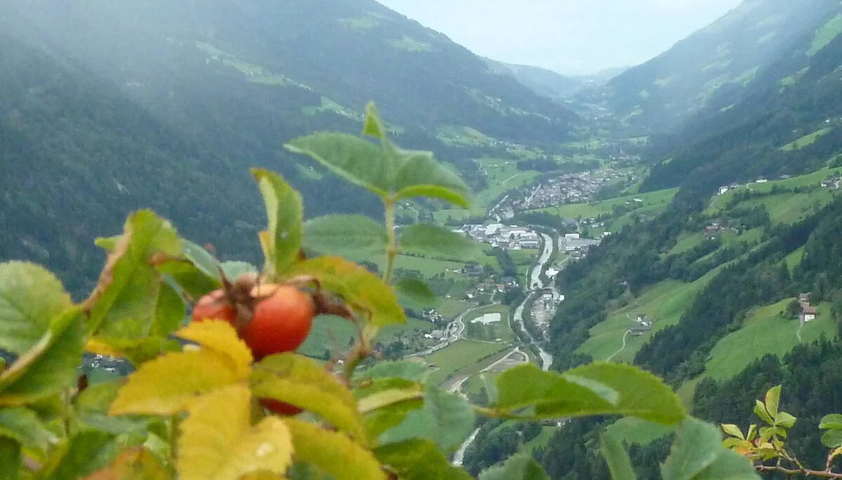 Mitarbeiter | © Mitarbeiter