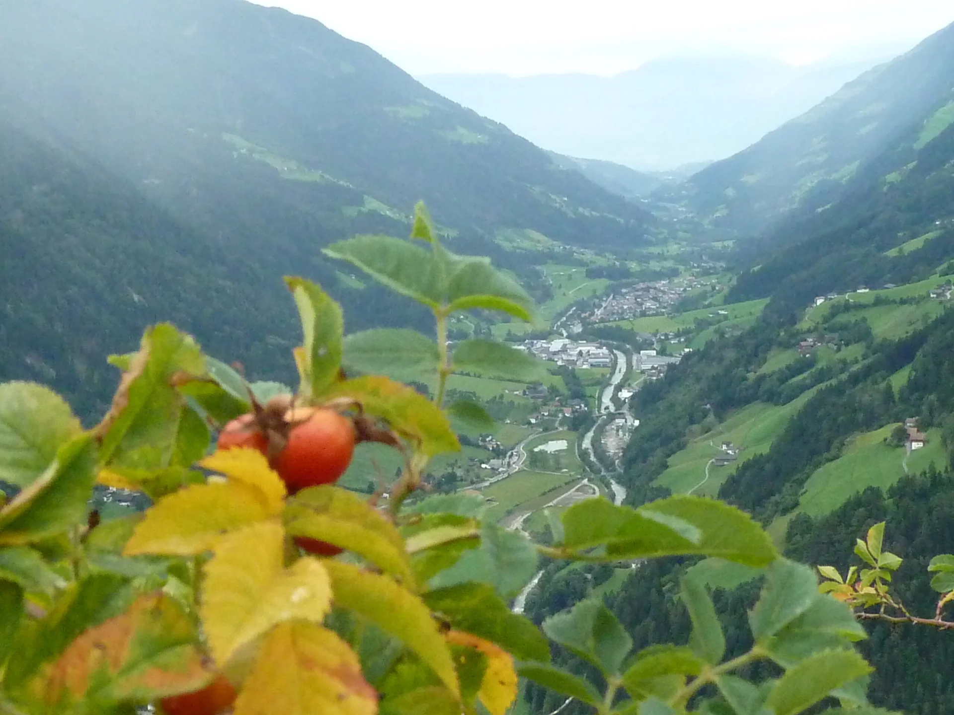 Mitarbeiter | © Mitarbeiter