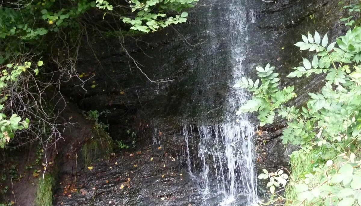 Mitarbeiter | © Mitarbeiter