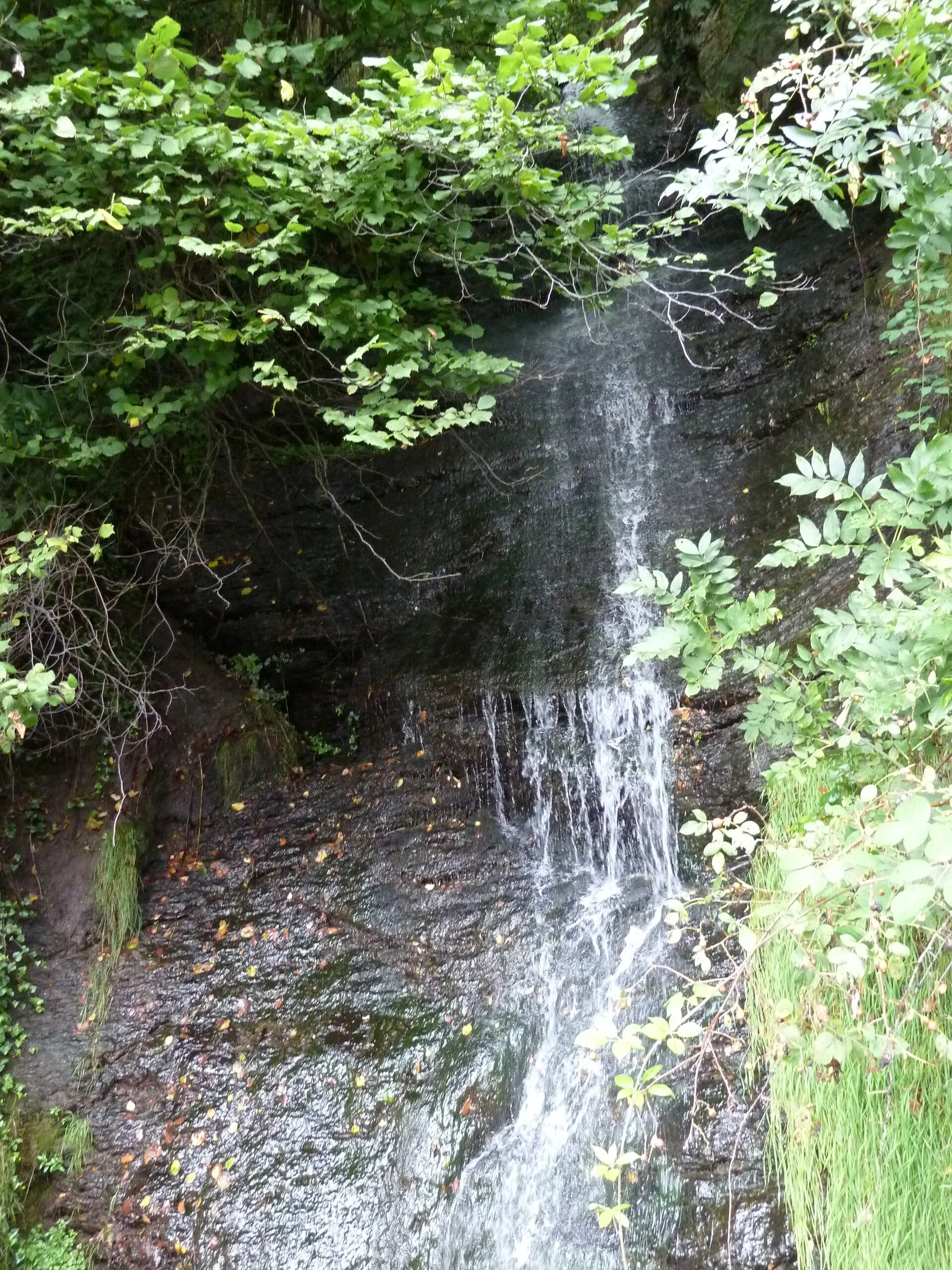 Mitarbeiter | © Mitarbeiter