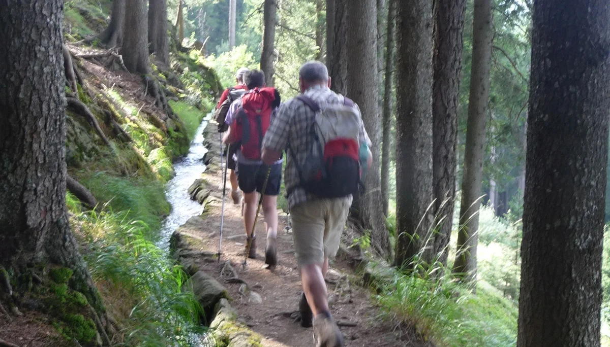 Mitarbeiter | © Mitarbeiter