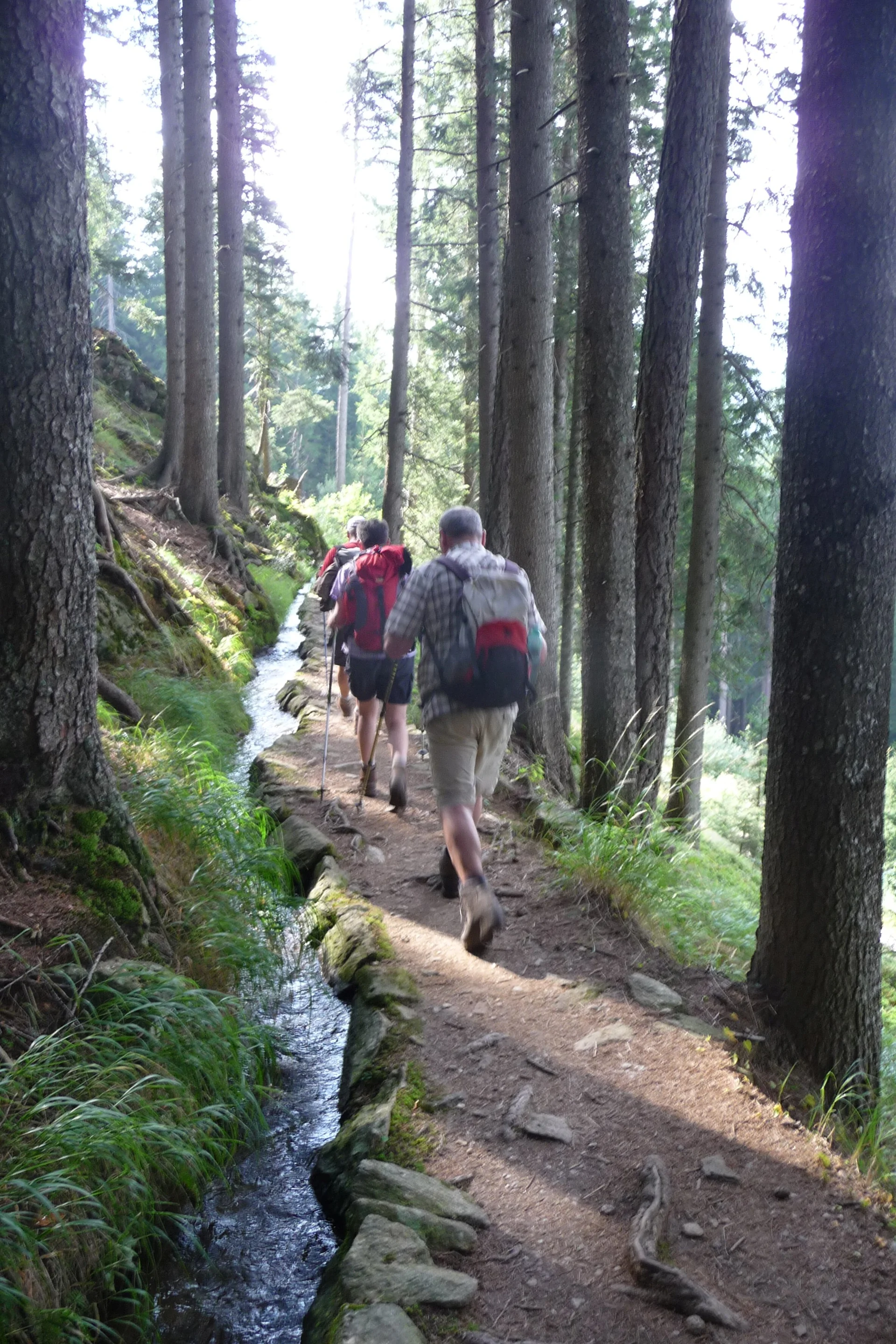 Mitarbeiter | © Mitarbeiter