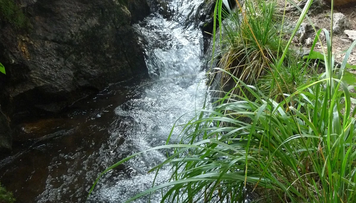 Mitarbeiter | © Mitarbeiter