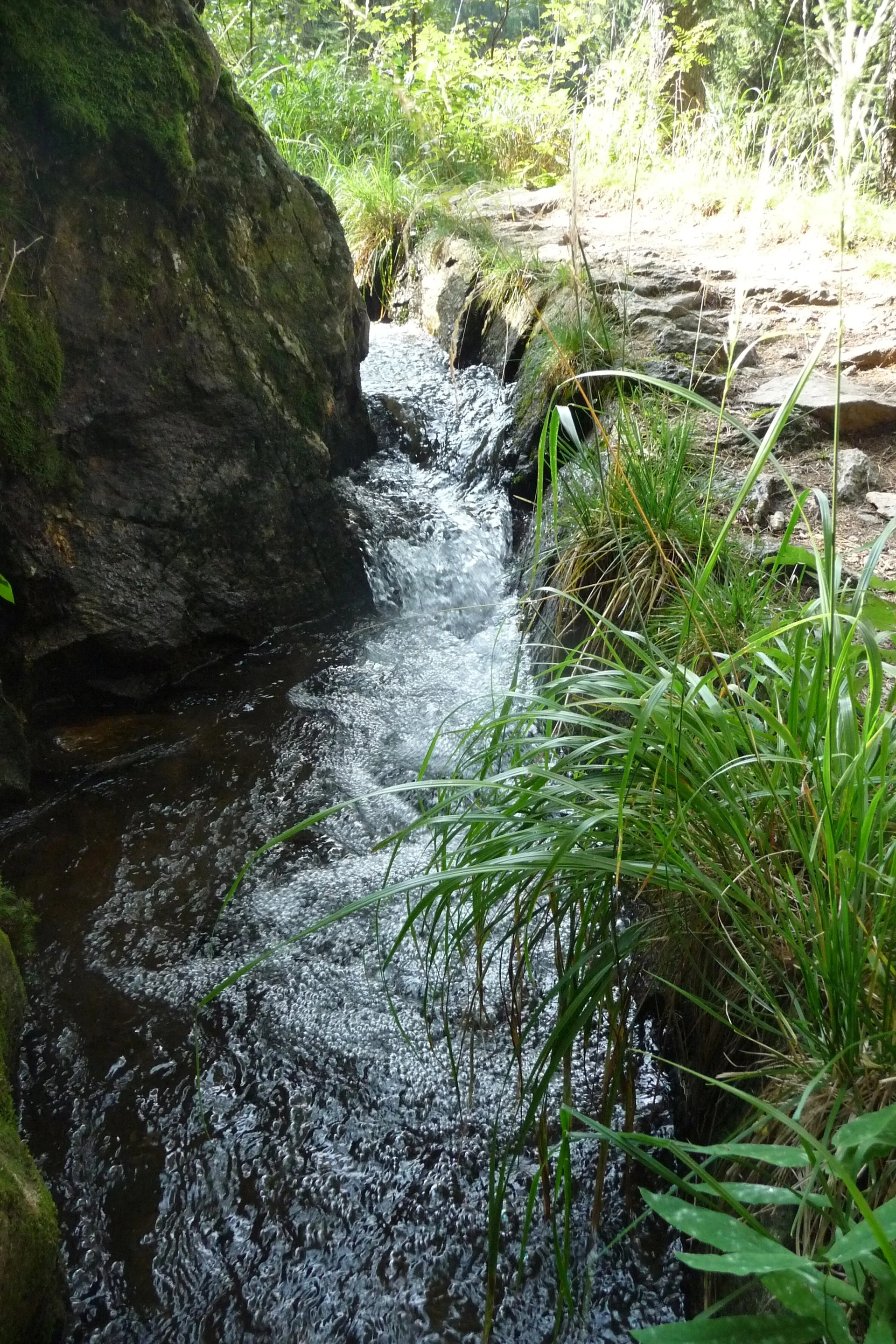 Mitarbeiter | © Mitarbeiter