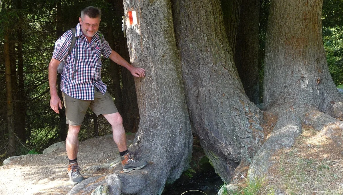 Mitarbeiter | © Mitarbeiter