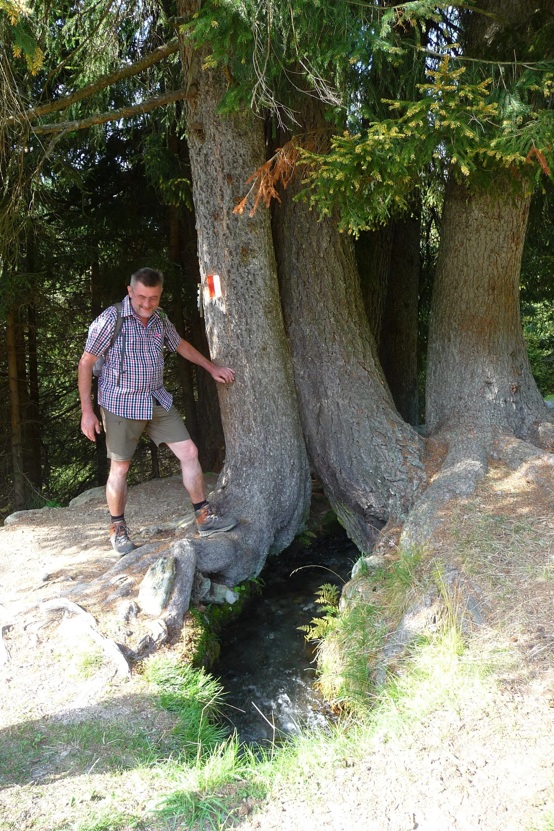 Mitarbeiter | © Mitarbeiter