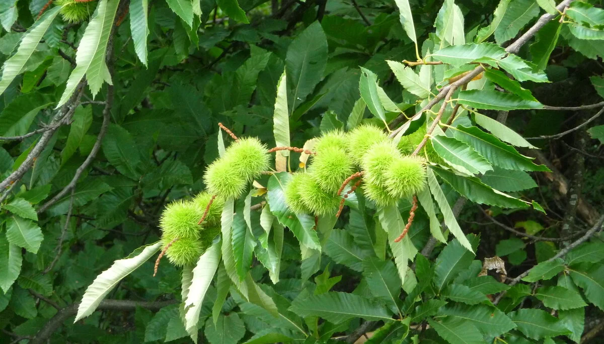 Mitarbeiter | © Mitarbeiter