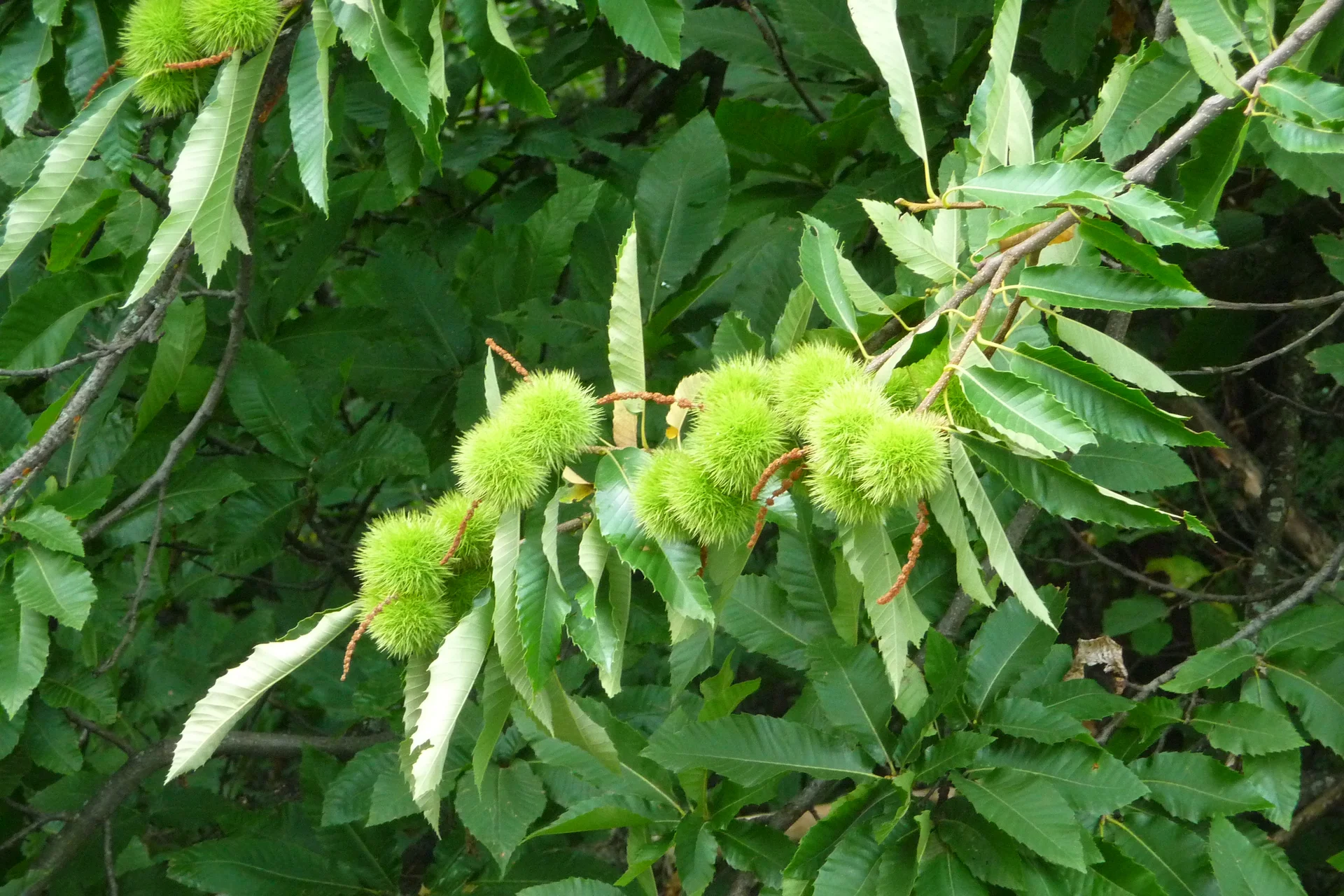 Mitarbeiter | © Mitarbeiter