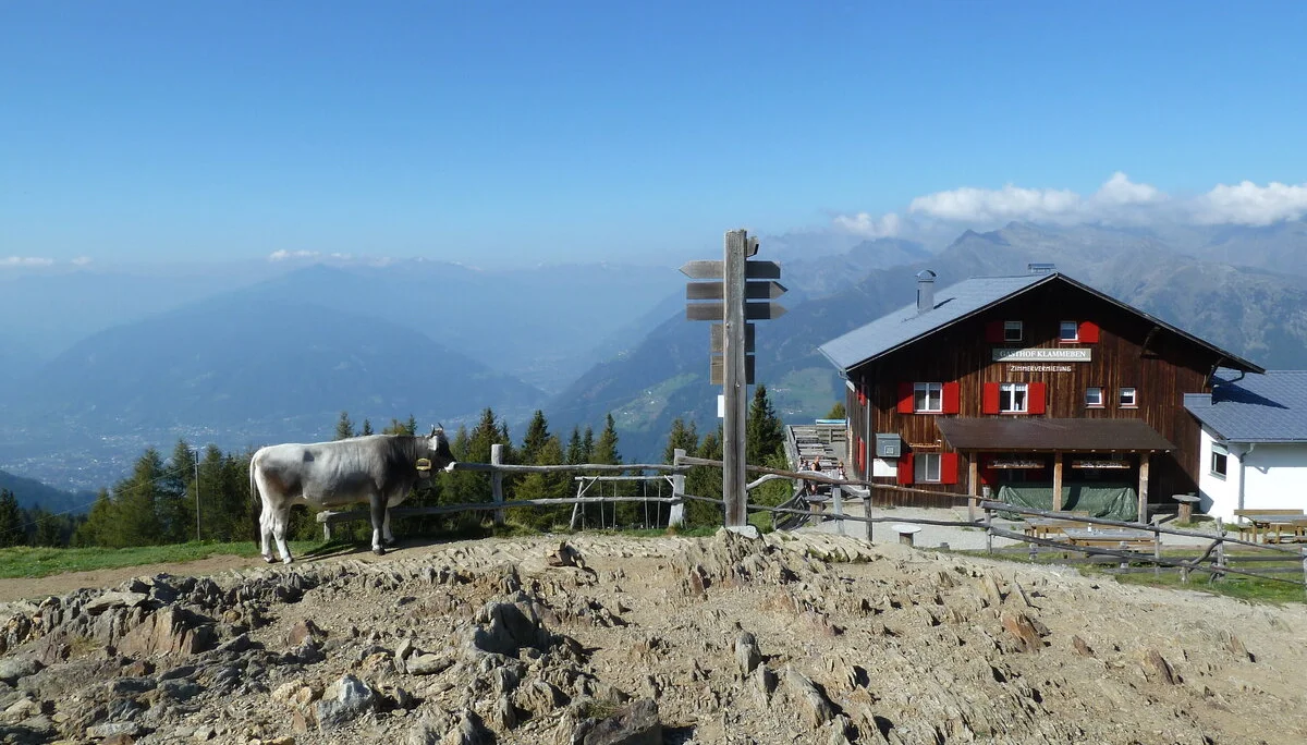 Mitarbeiter | © Mitarbeiter