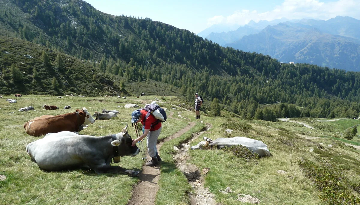 Mitarbeiter | © Mitarbeiter