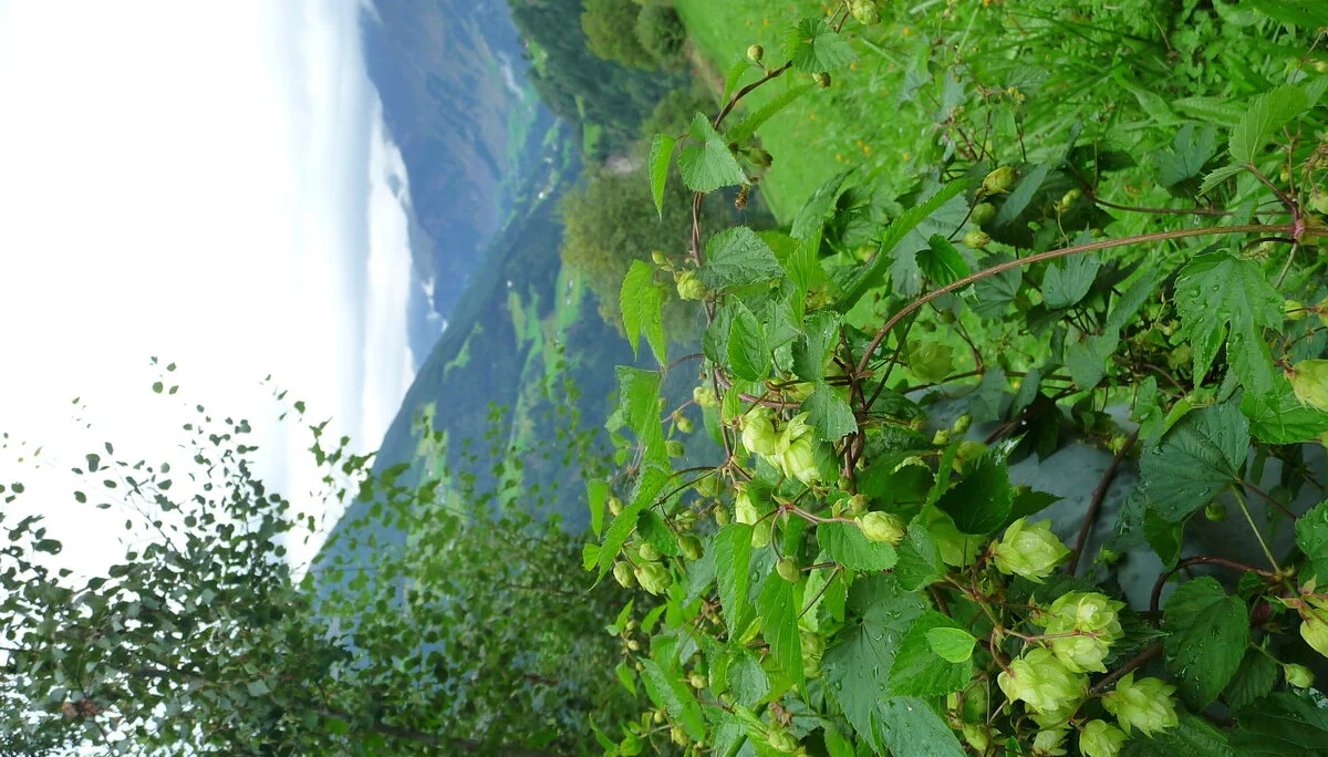 Mitarbeiter | © Mitarbeiter