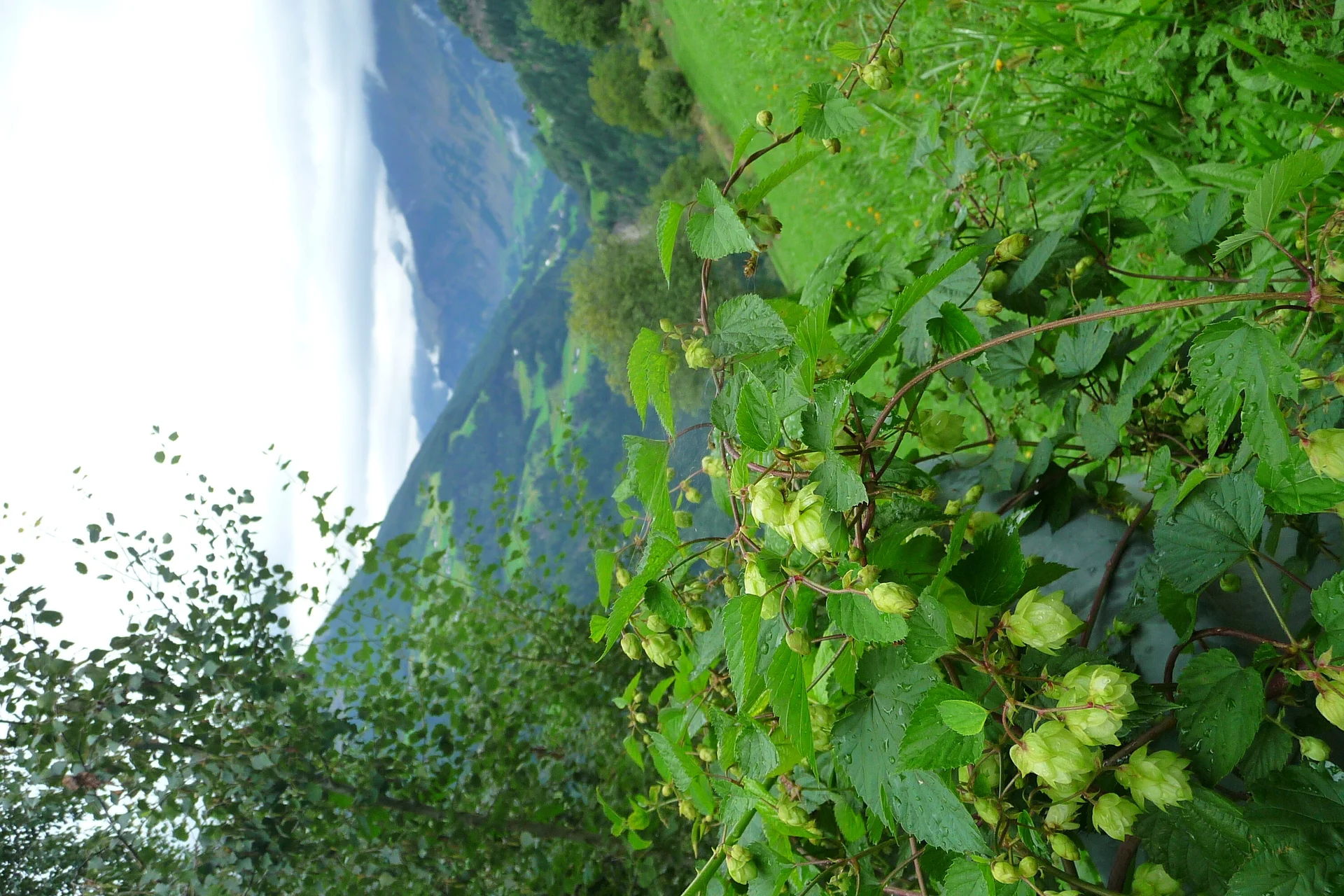 Mitarbeiter | © Mitarbeiter