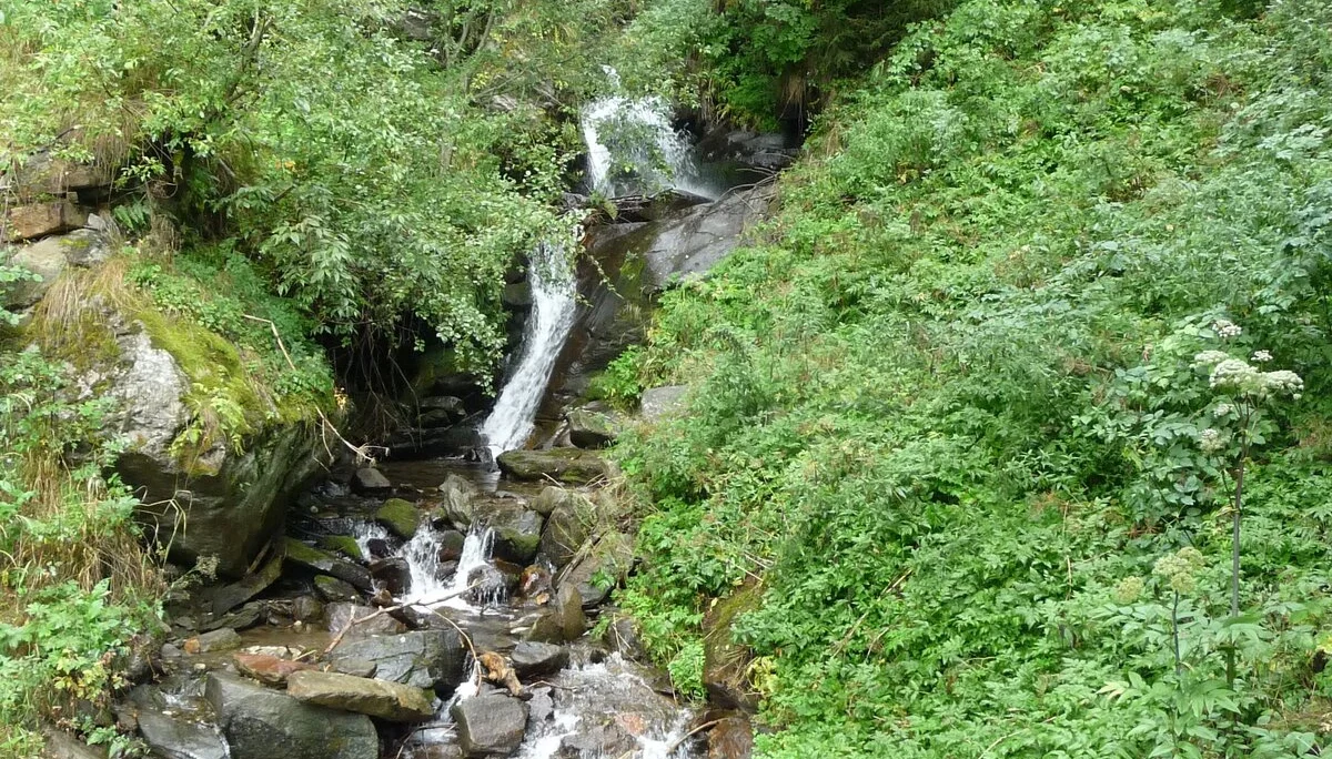 Mitarbeiter | © Mitarbeiter