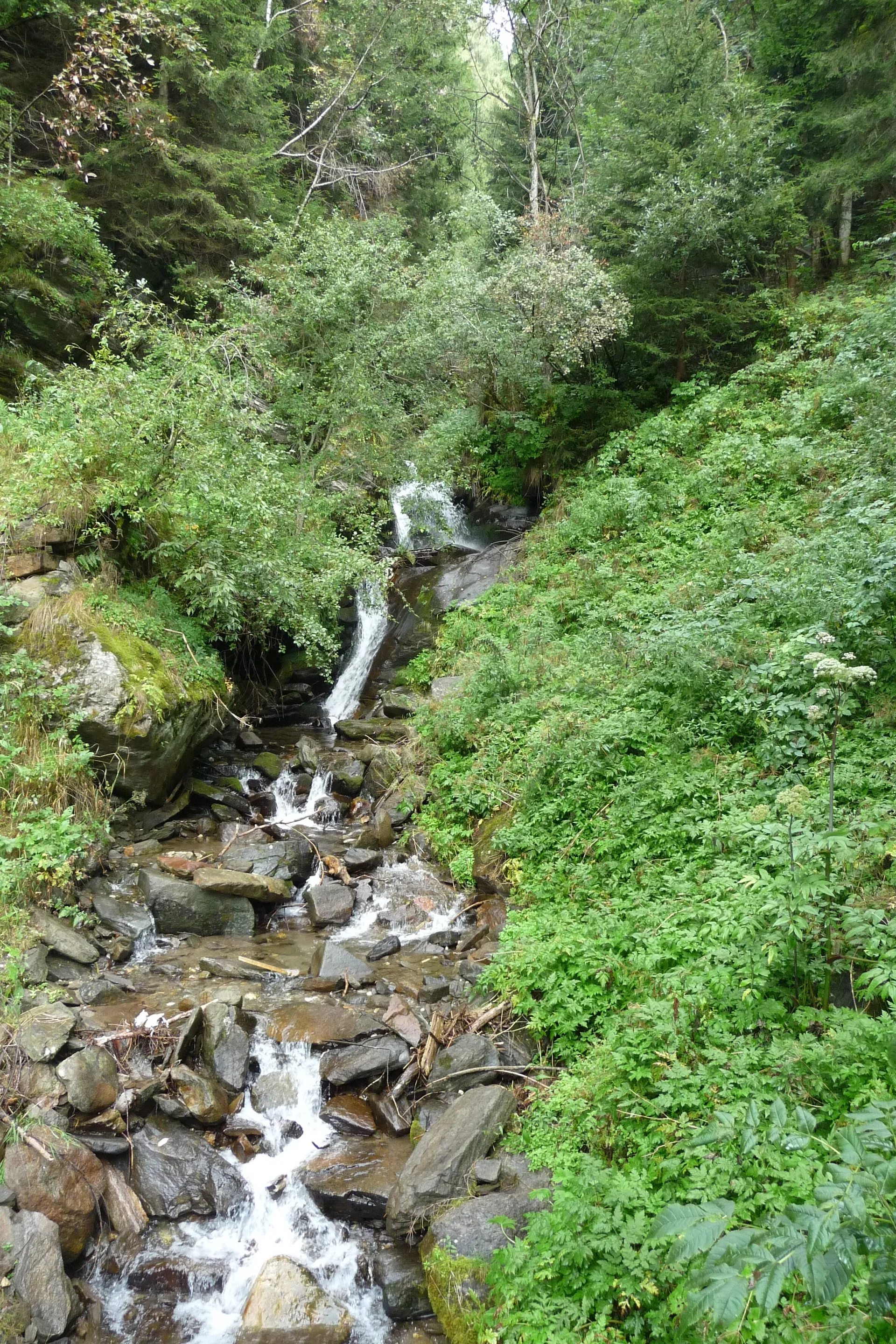 Mitarbeiter | © Mitarbeiter