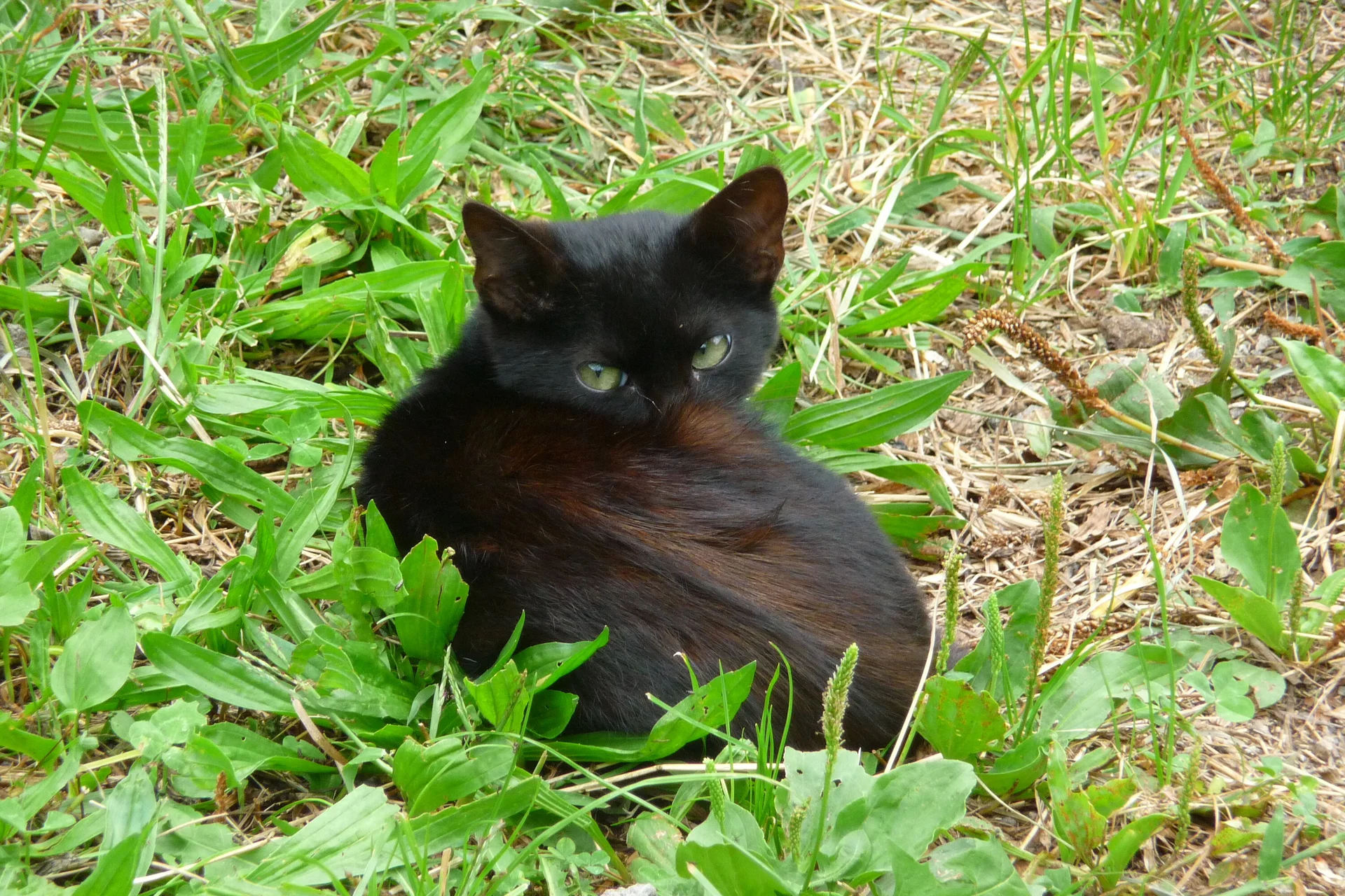 Mitarbeiter | © Mitarbeiter