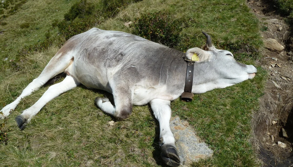 Mitarbeiter | © Mitarbeiter