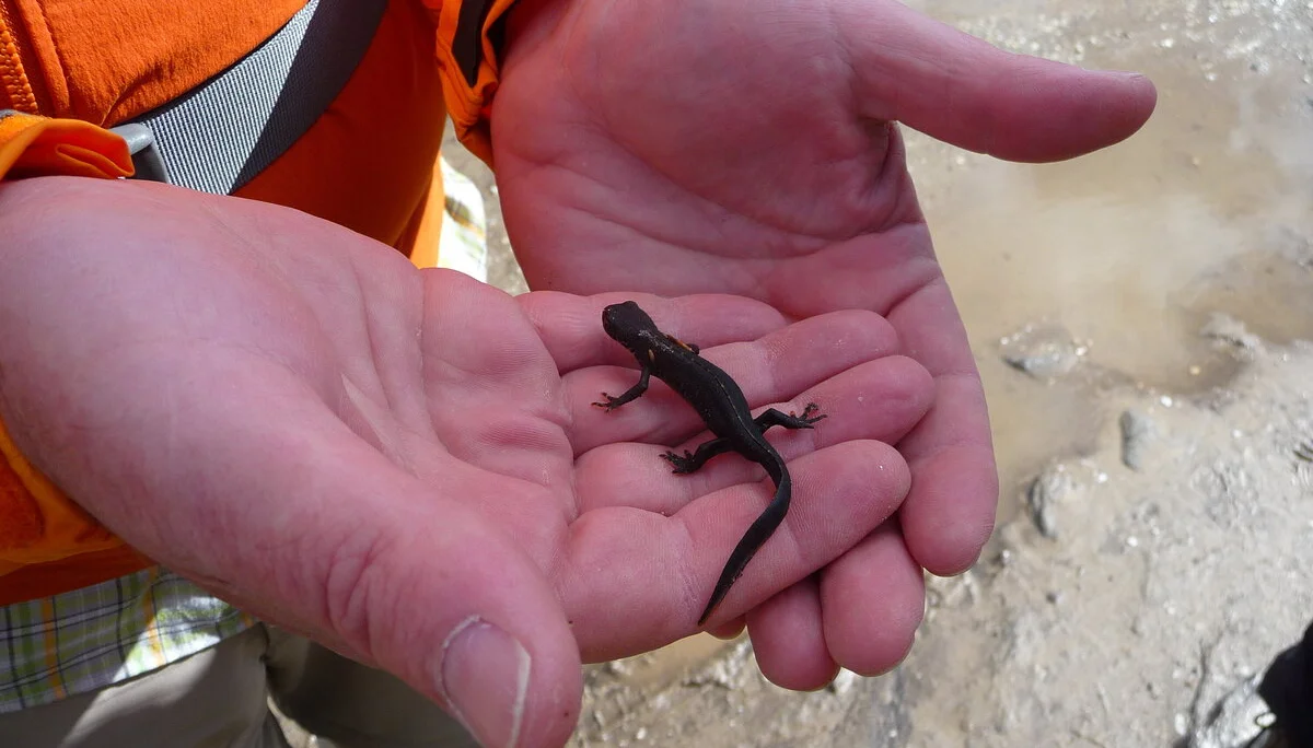 Mitarbeiter | © Mitarbeiter