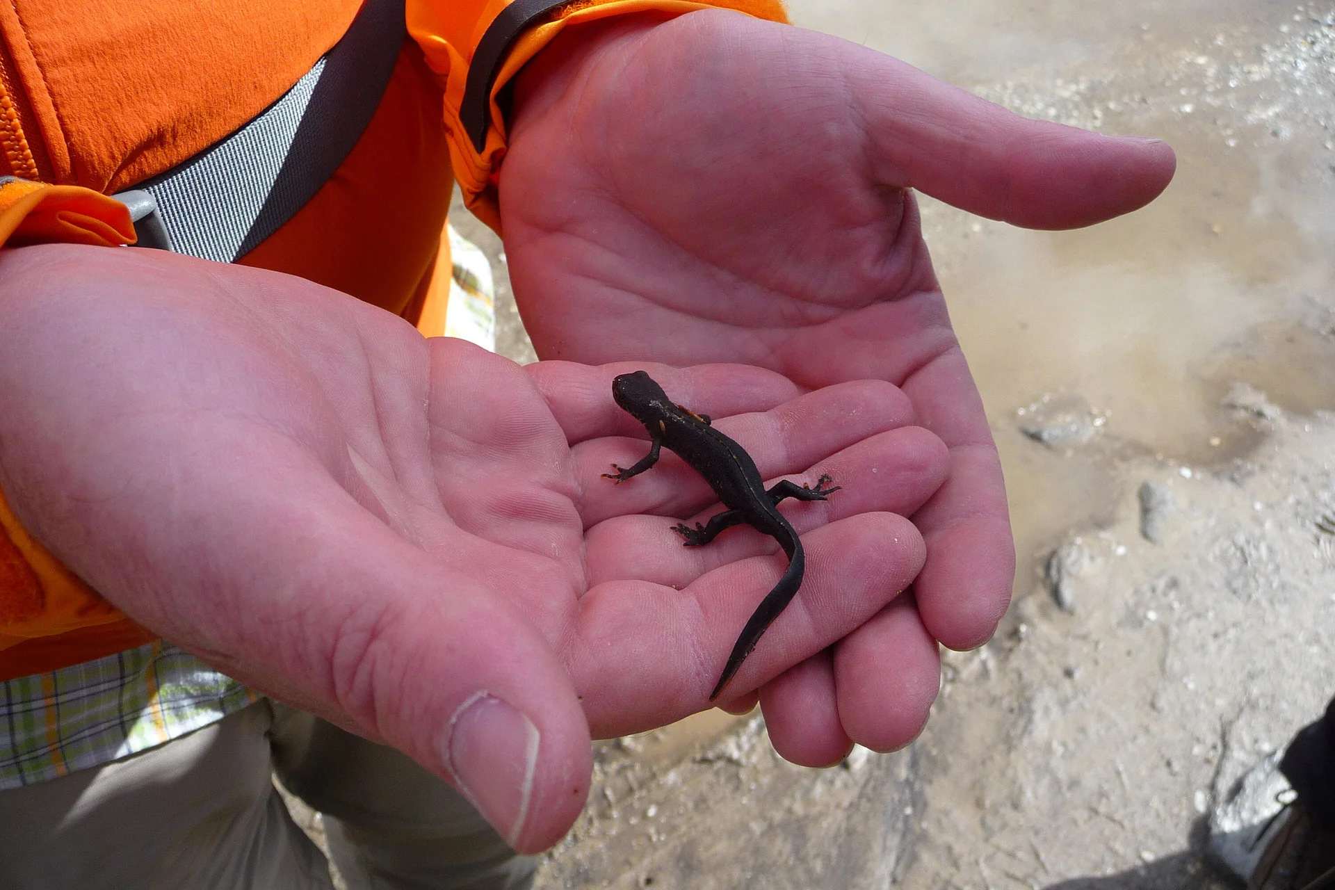 Mitarbeiter | © Mitarbeiter