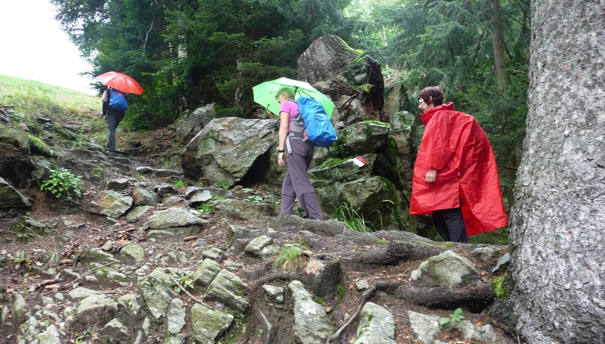 Mitarbeiter | © Mitarbeiter