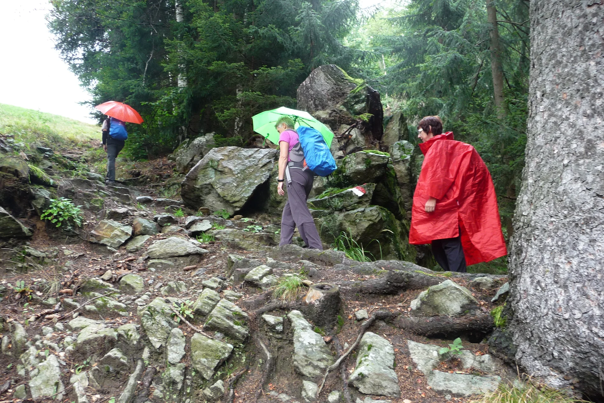 Mitarbeiter | © Mitarbeiter