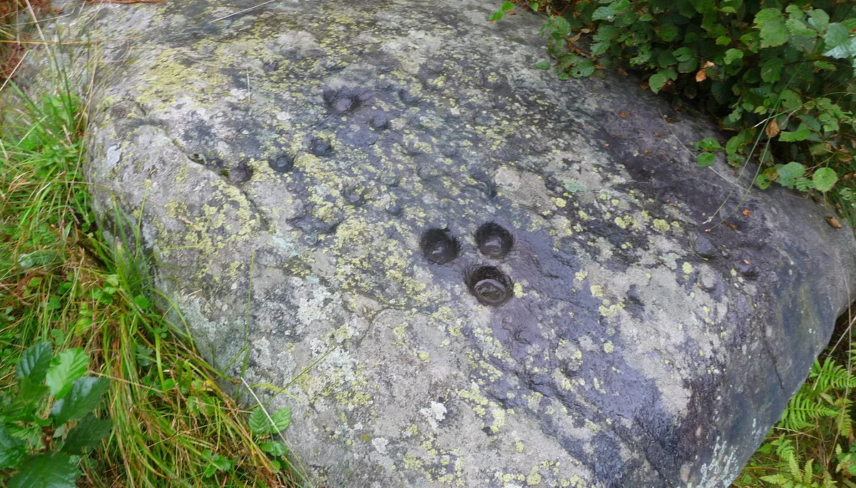 Mitarbeiter | © Mitarbeiter