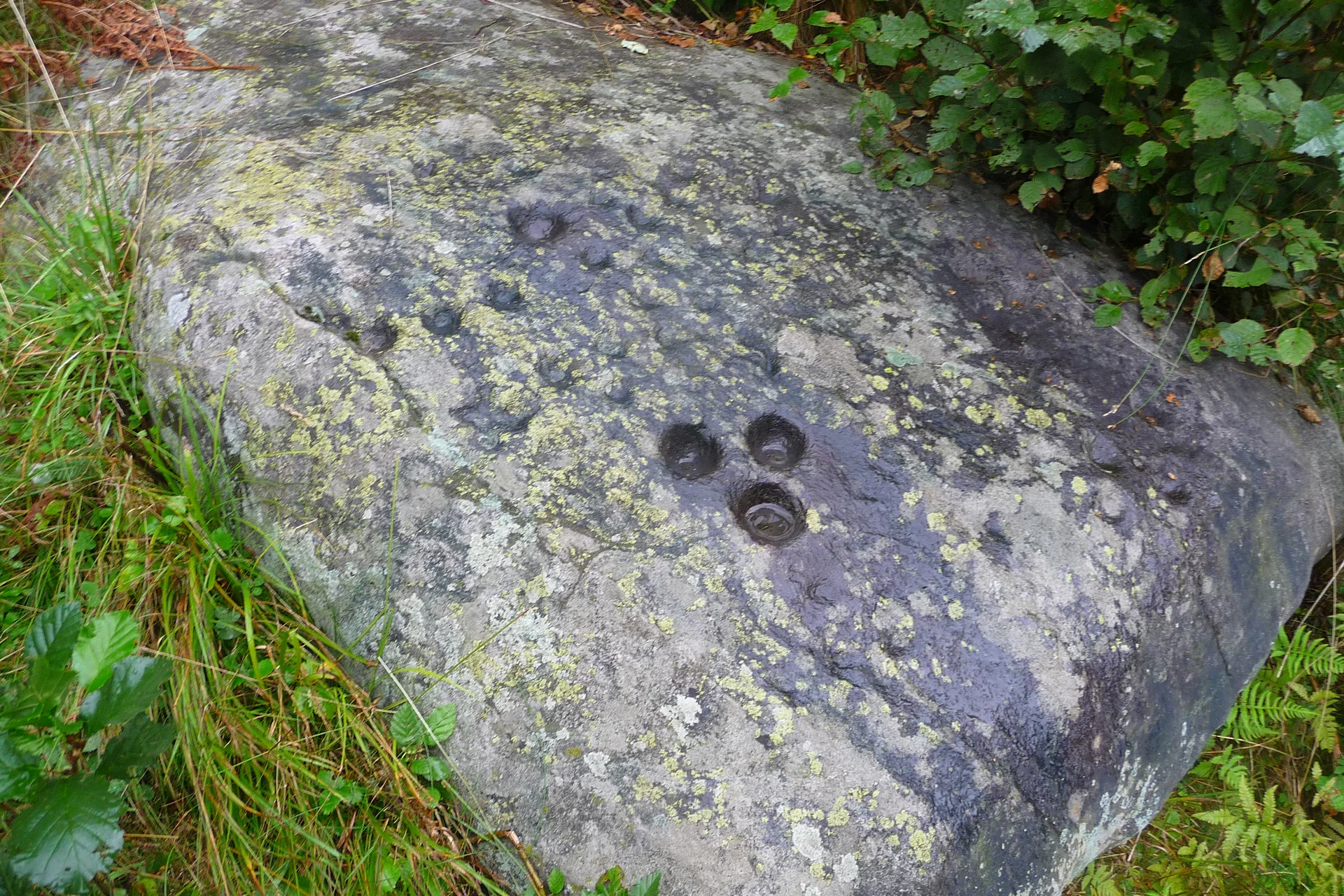 Mitarbeiter | © Mitarbeiter