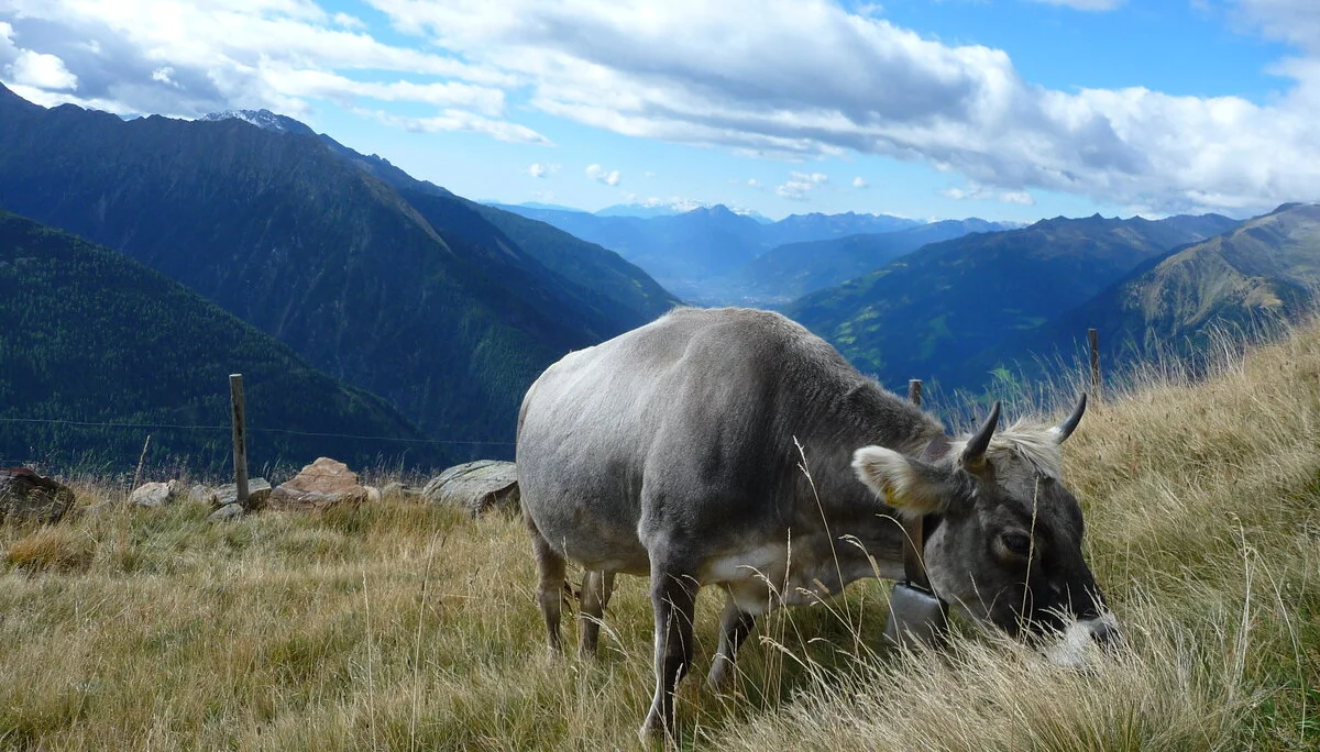 Mitarbeiter | © Mitarbeiter