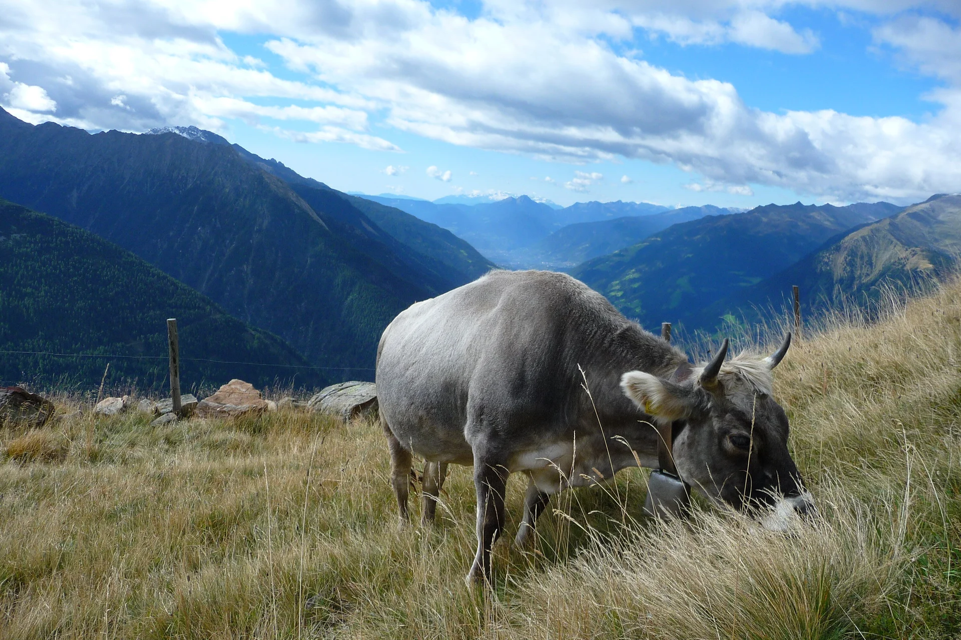 Mitarbeiter | © Mitarbeiter