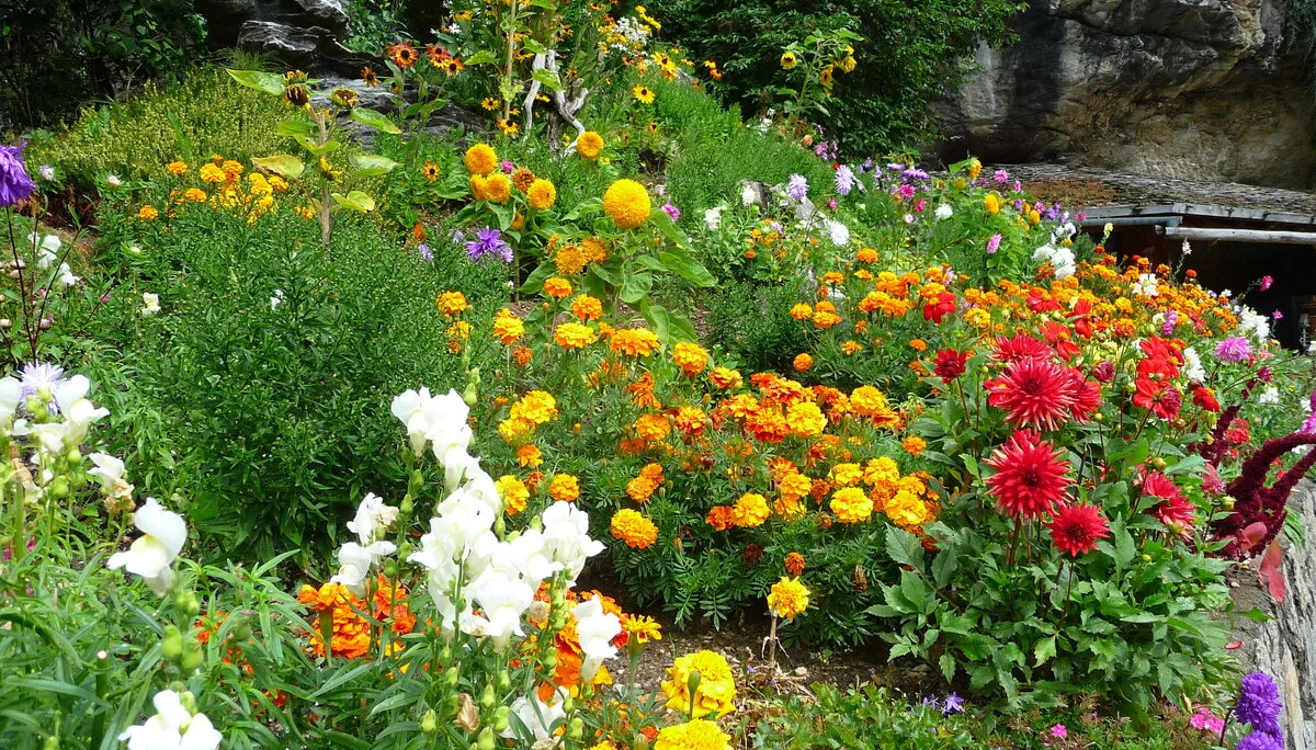 Mitarbeiter | © Mitarbeiter