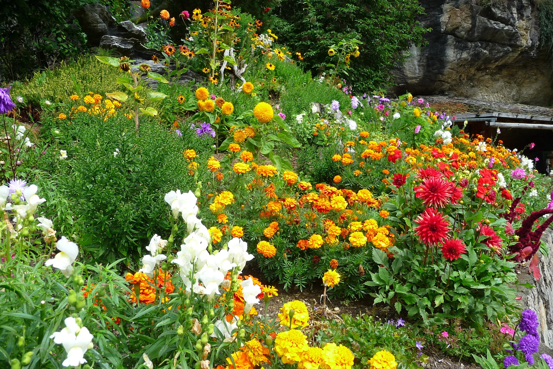 Mitarbeiter | © Mitarbeiter