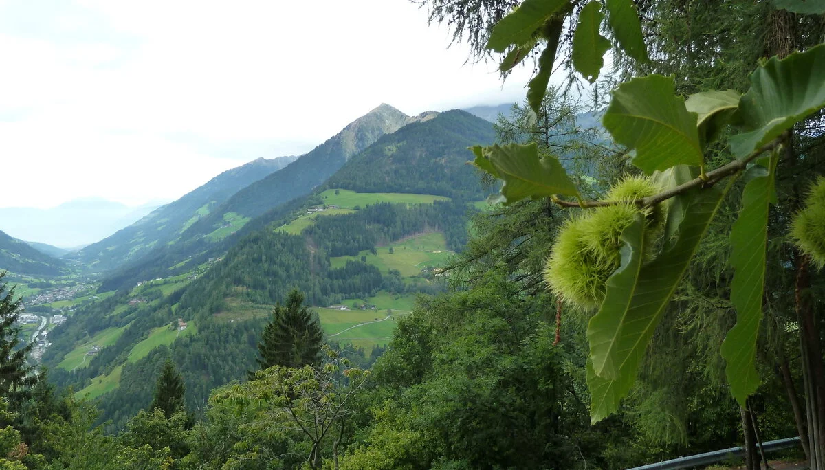 Mitarbeiter | © Mitarbeiter