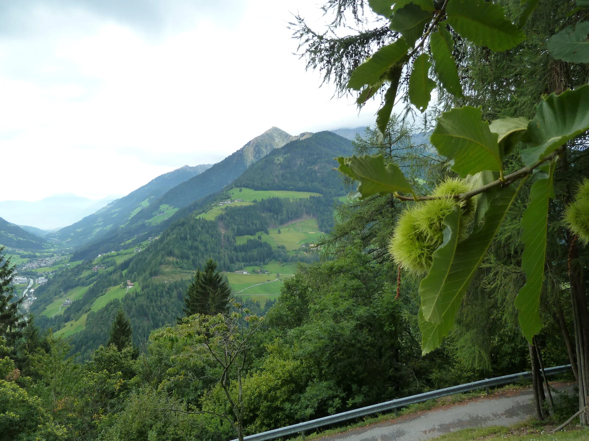 Mitarbeiter | © Mitarbeiter