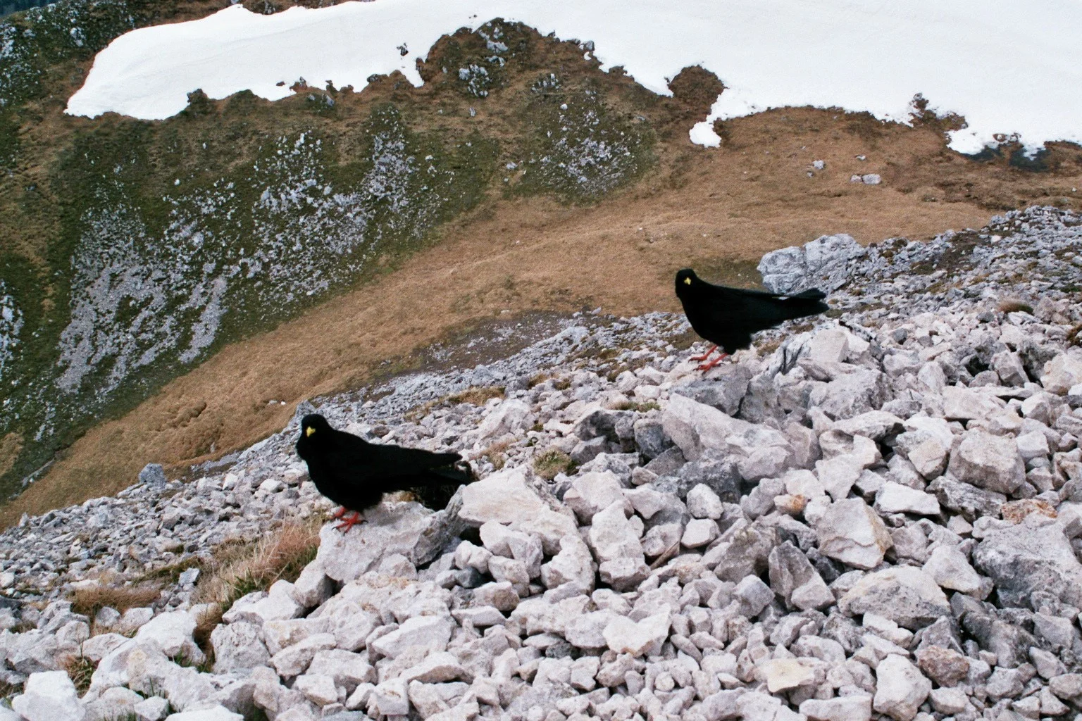 Hochplatte | © Hochplatte