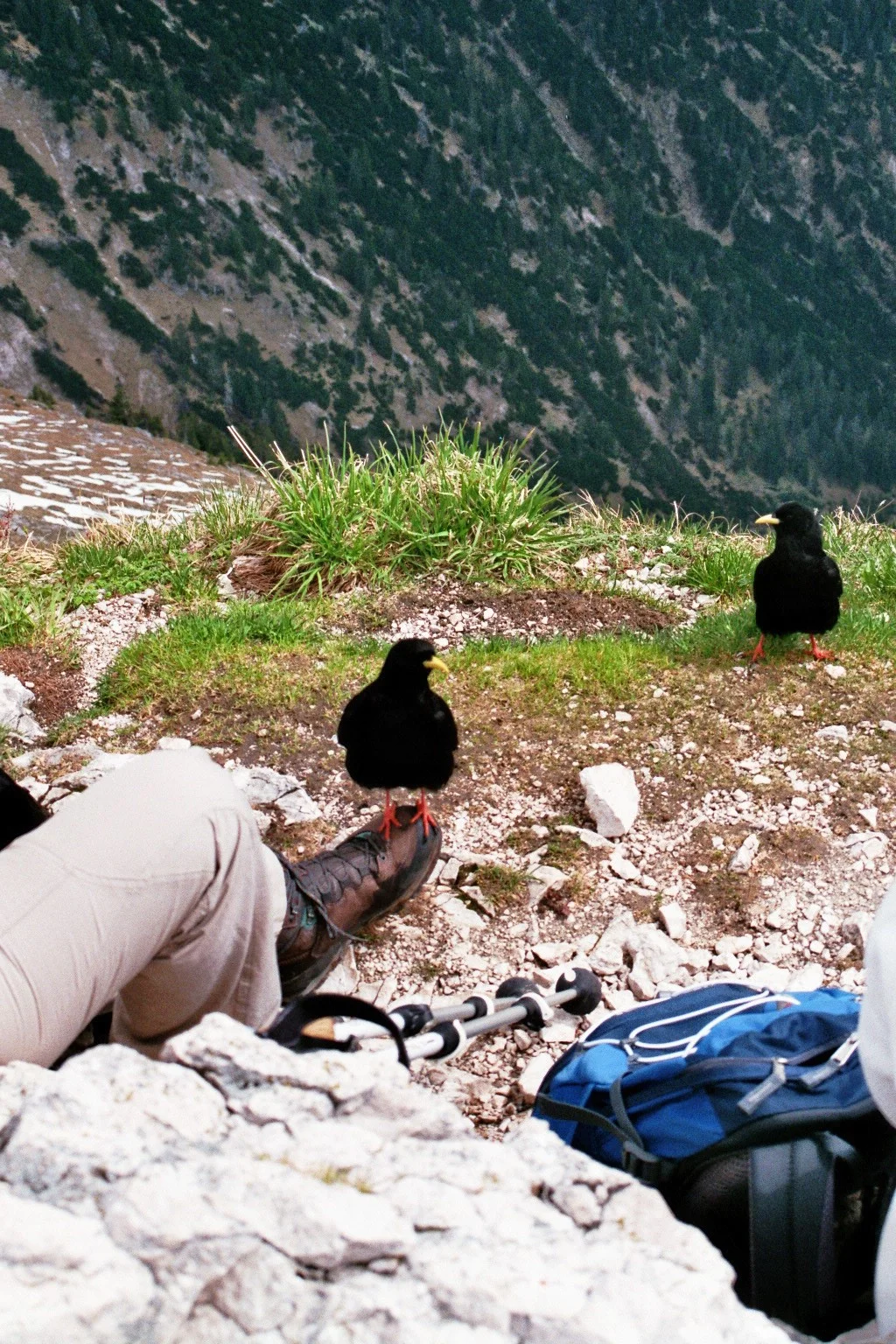 Hochplatte | © Hochplatte