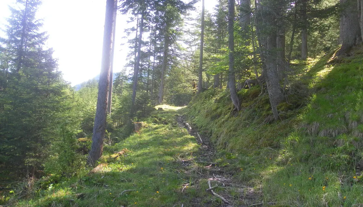 Ziegspitz | © Ziegspitz