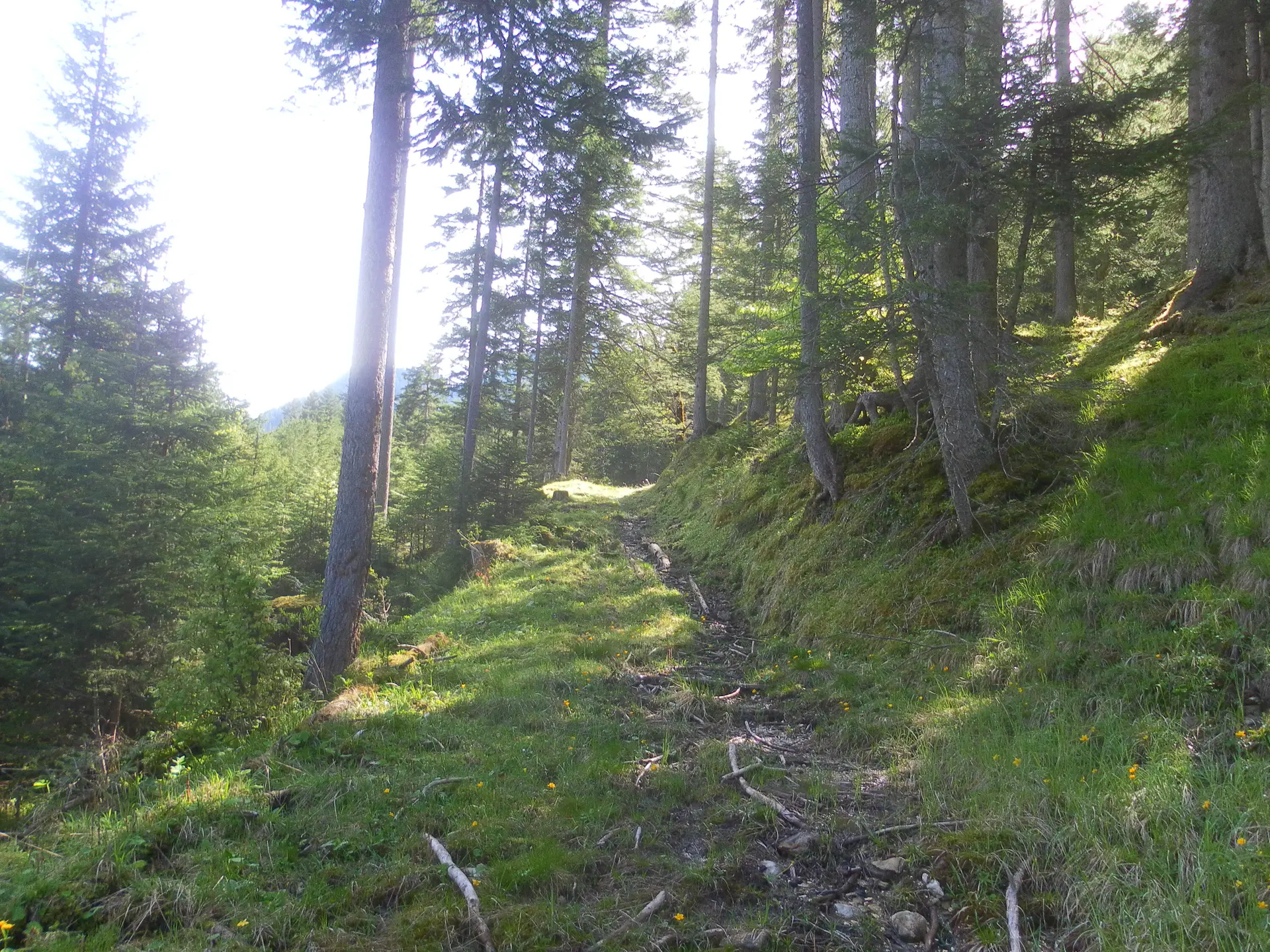 Ziegspitz | © Ziegspitz