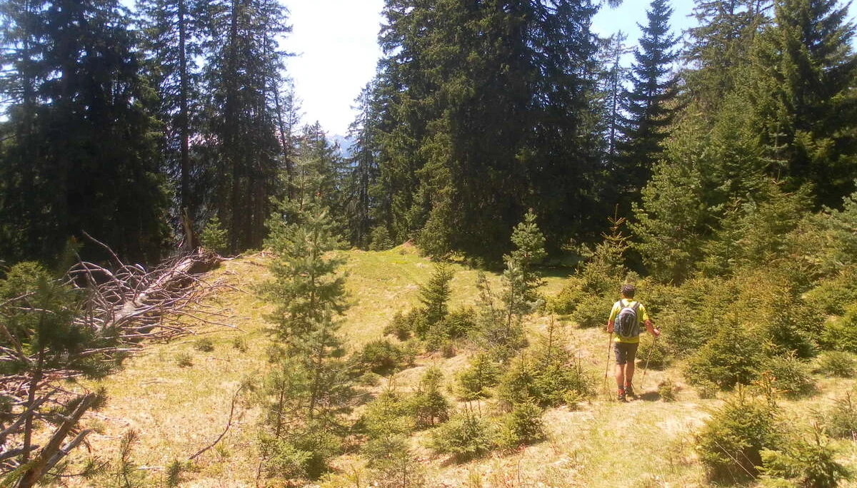 Ziegspitz | © Ziegspitz