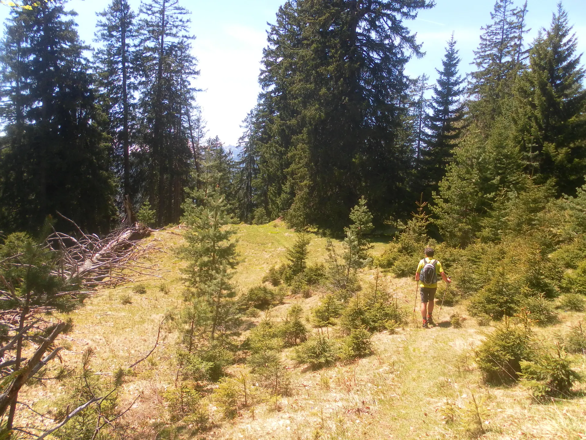 Ziegspitz | © Ziegspitz