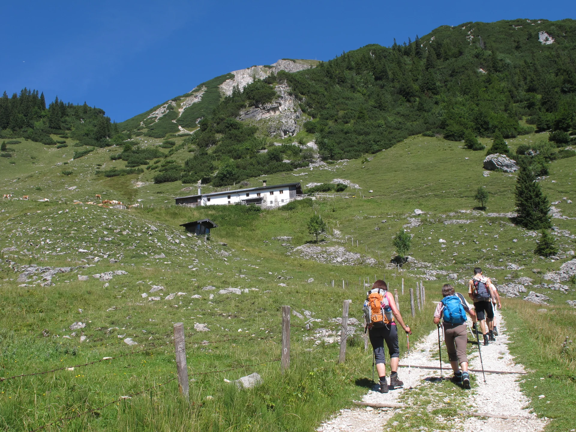 Geigelstein | © Geigelstein