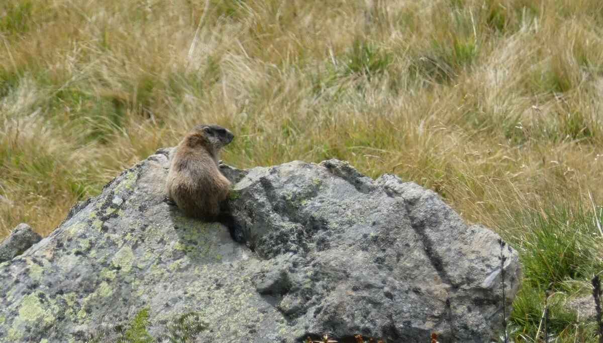 Wanderwoche | © Wanderwoche