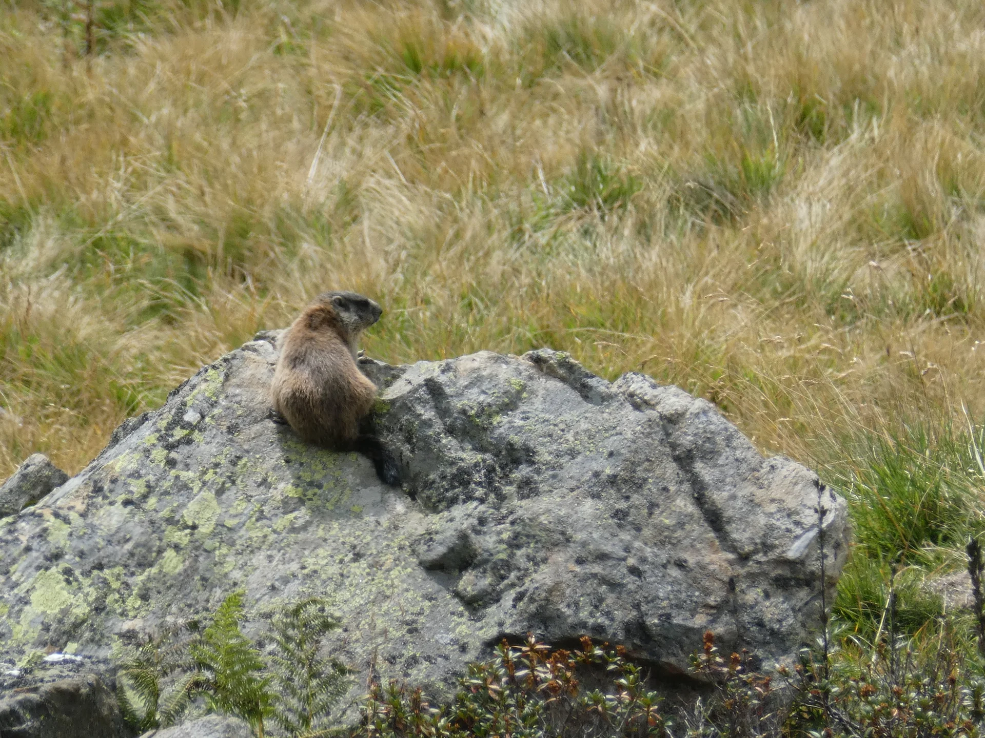 Wanderwoche | © Wanderwoche