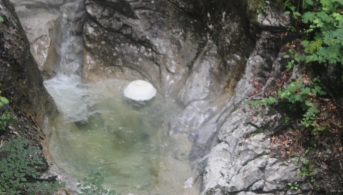 Schellschlicht | © Schellschlicht