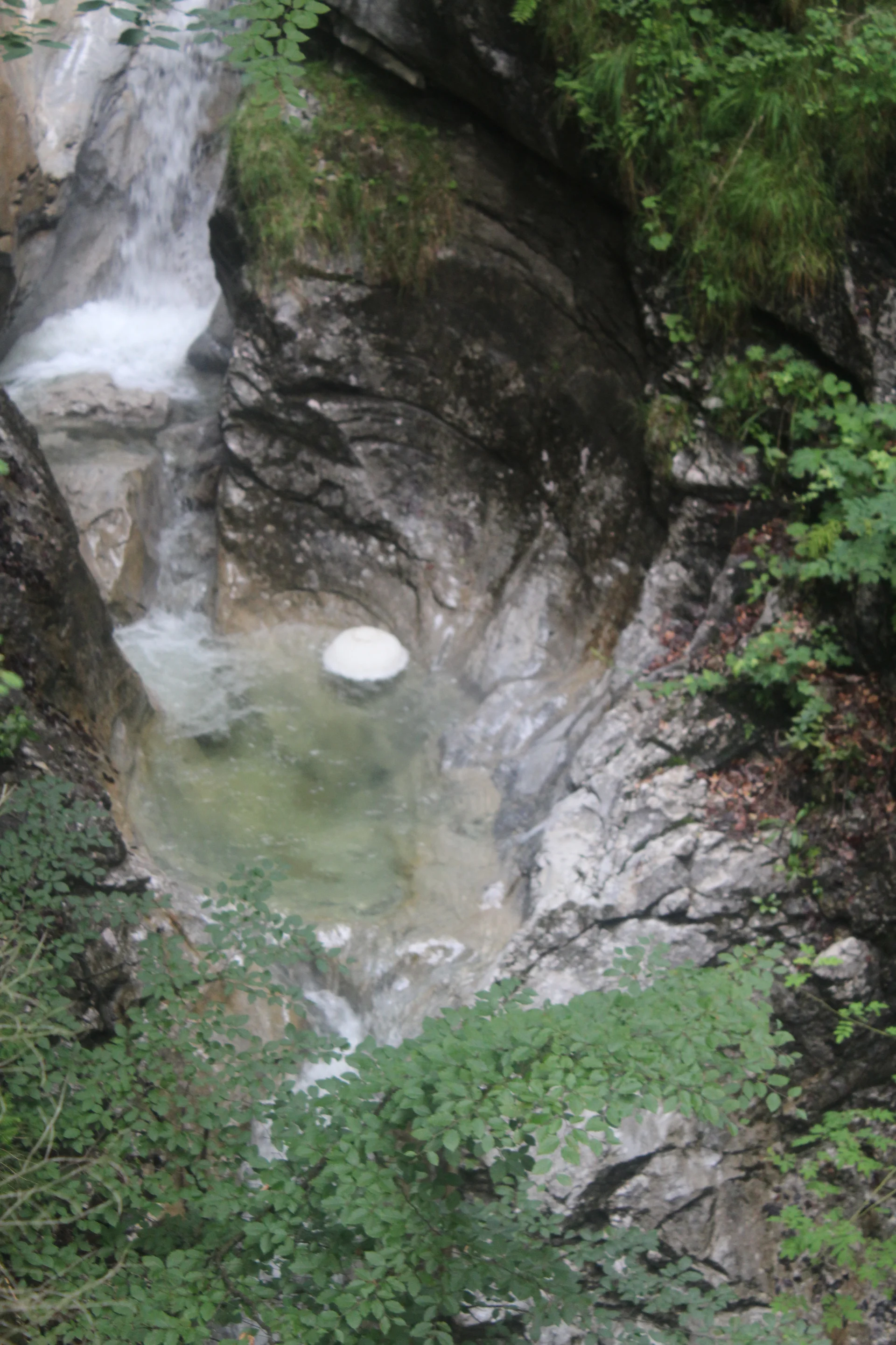 Schellschlicht | © Schellschlicht